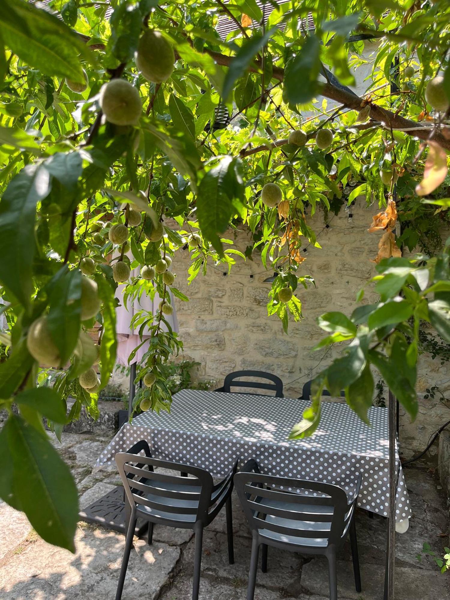 Charmante Maison De Village Senaillac-Lauzes Εξωτερικό φωτογραφία